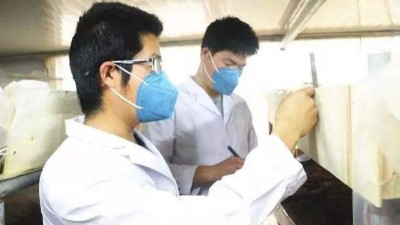 負載對麻豆传媒在线视频的溫濕度性能有哪些影響？